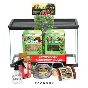 COMPLETE Dart Frog Setup