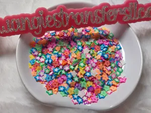 Sea Star Polymer Clay Pieces for Snowglobe Tumblers Nail Arts Slime etc Versatile Creative Project Material