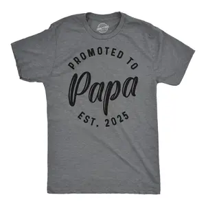 Mens Funny T Shirts Promoted to Papa 2025 Sarcastic Family New Baby Graphic Tee for Men Mens Funny T Shirts Cool Vintage Fashion T-Shirt Gift Classic Menswear Dad Joke Apparel for Men Funny Grandpa Short Sleeve Dark Grey