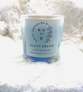 Ocean Breeze- 12 oz Candle