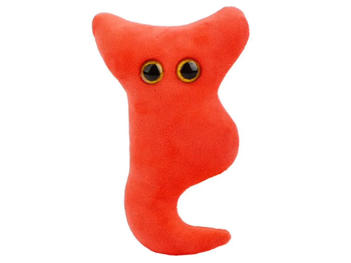 Appendix