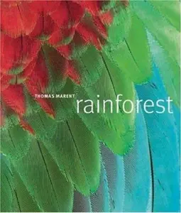 USED-Rainforest by Ben Morgan (Hardcover)