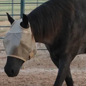 Cashel Econo Fly Mask - UV Protection & Insect Defense Breathable Mesh Horse Fly Mask - Multiple Sizes