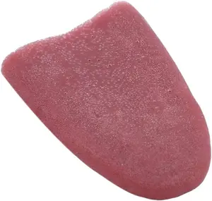 Realistic Fake Tongue Gross Jokes Prank Magic Tricks Halloween Horrific Magicians Props,Fake Tongue Piercing,Magic Kits and Accessories,Novelty and Gag Toys