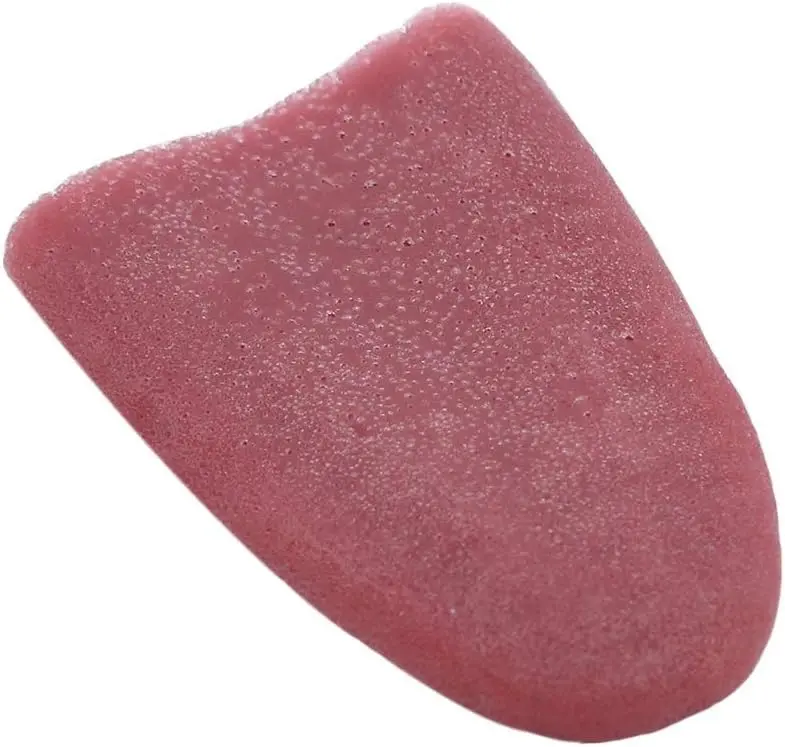 Realistic Fake Tongue Gross Jokes Prank Magic Tricks Halloween Horrific Magicians Props,Fake Tongue Piercing,Magic Kits and Accessories,Novelty and Gag Toys