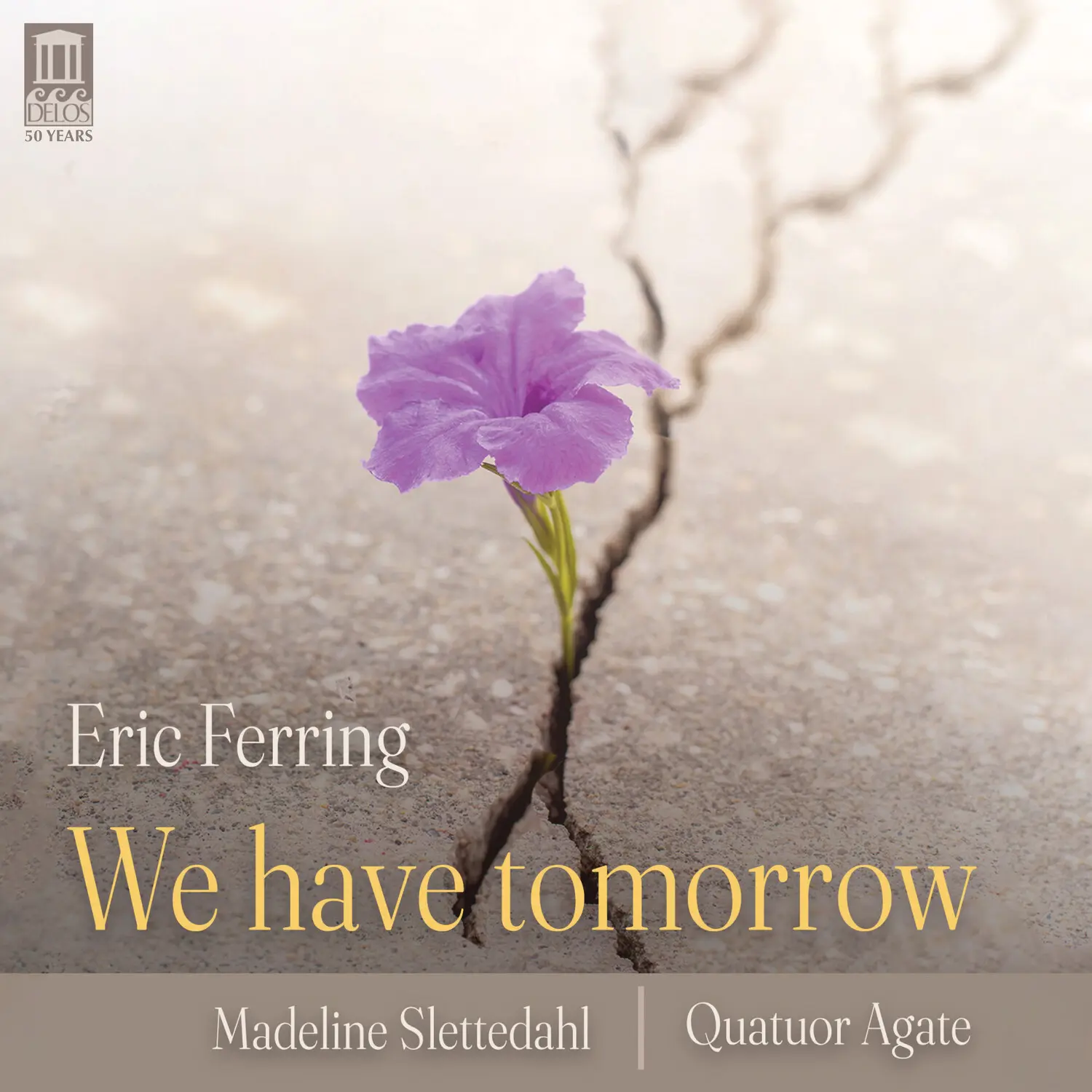 Eric Ferring - We Have Tomorrow  [COMPACT DISC - CD]