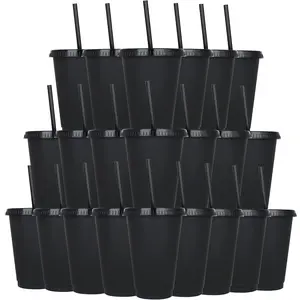 24 Pack Tumbler with Straw and Lid Bulk Water Bottle Iced Coffee Travel Mug Cup Reusable Plastic Cups for Party Birthdays 24 oz