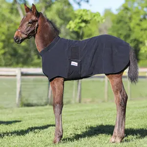 Dura-Tech Fleece Foal Warmer