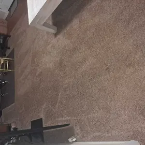 K.O.E. 16oz Concentrate - Kennel Odor Eliminator - Non-Enzymatic Formula, KOE, Apricot, Fresh, Original Scent, 16 oz Pint