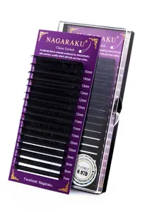 Automatic Blooming W Shape Lashes Premade Fans Lashes 9-15mm Pointy Base Eyelash Extensions Natural Soft Light Full Dense False Eyelashes No sensitivity