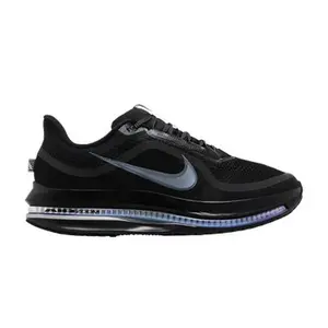 Nike Pegasus Premium 'Black Metallic Silver'