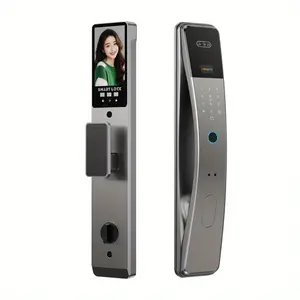 Graffiti smart fingerprint door lock with fingerprint and password input | 3D facial recognition, remote vision cat eye, anti-theft security, rechargeable battery, USB connection, new house gift, metal veneer, durable structure