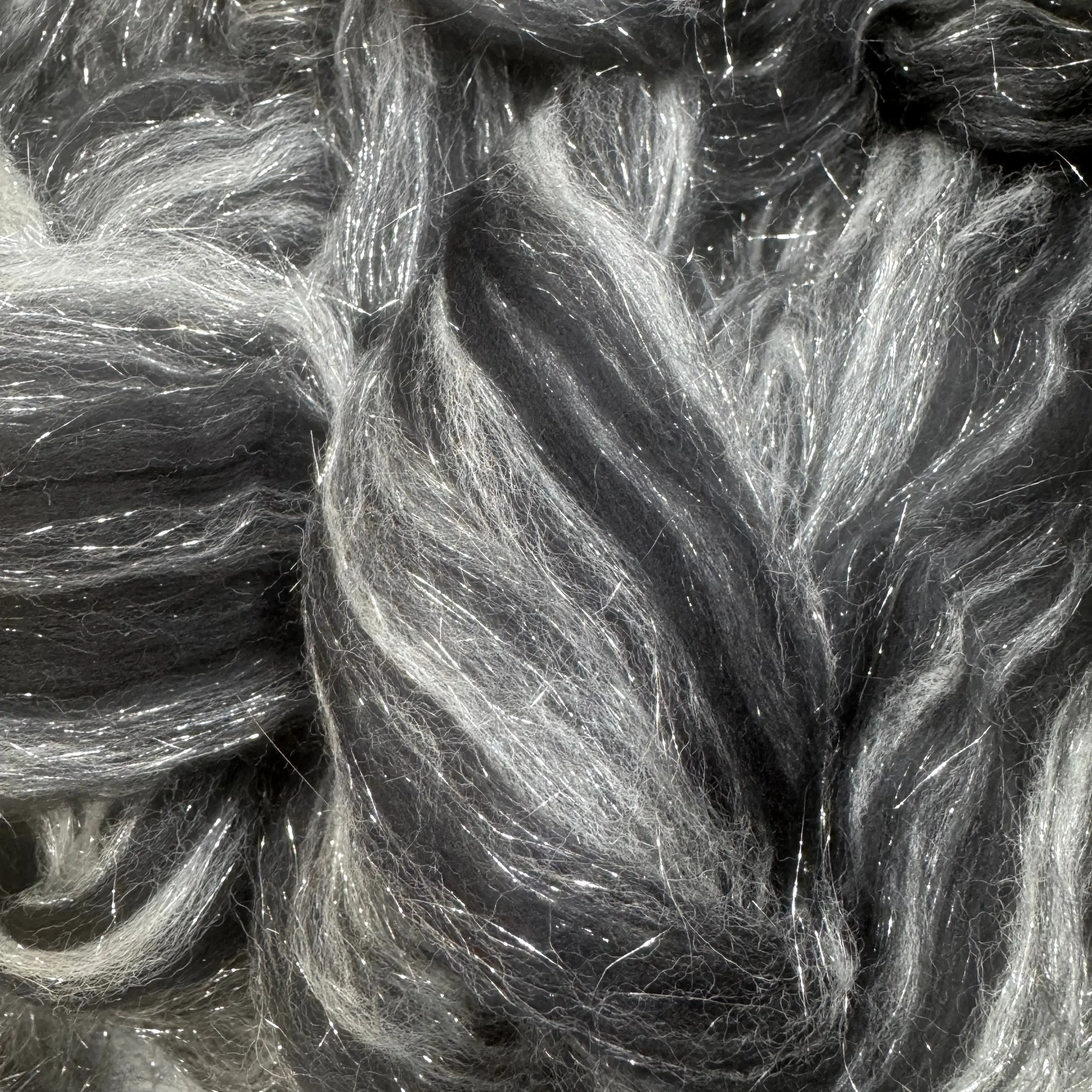 Silvery Raven