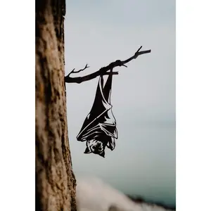 Hanging Bat