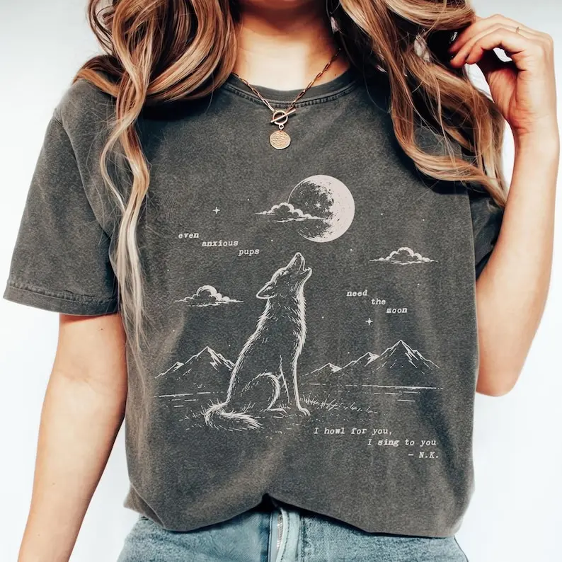 Orbiter Song Inspired Shirt, NK Indie Folk Tee, Retro Moon Tee, The Divide Tour Shirt1