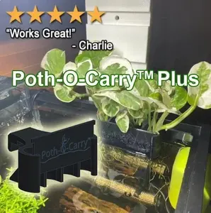 Poth-O-Carry® Plus: Pothos Holder with Open Face Technology