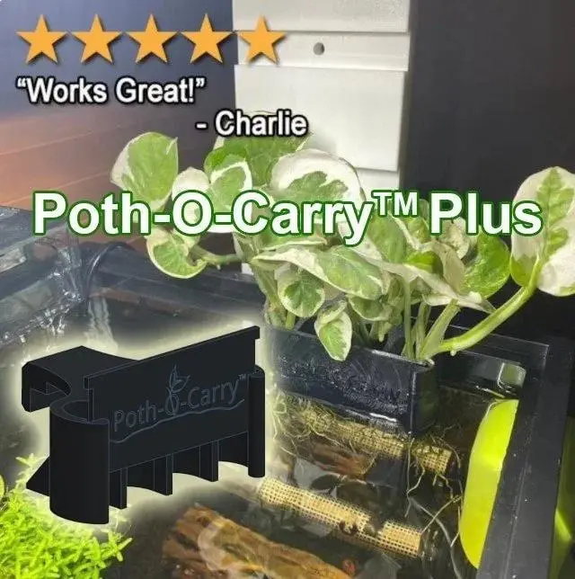 Poth-O-Carry® Plus: Pothos Holder with Open Face Technology