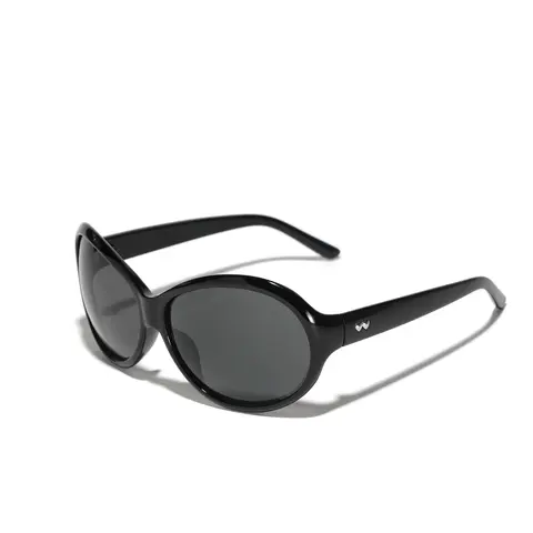 Y2K Future Style Large Frame Sunglasses for Women and Men, Trendy Cool Shades, European Vintage Fashion Polarized Glasses, Outdoor Fashion Sunglasses, Fashionable Sunglasses