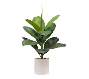 Nearly Natural 20" Artificial Fiddle Plant