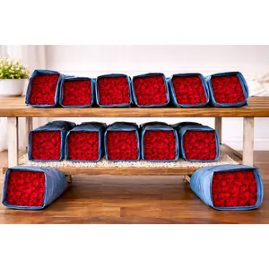 100 Farm-Fresh Red Freedom Roses – Premium Wholesale Bundle – FedEx Priority Overnight