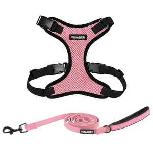 Voyager Step-In Lock Dog & Cat Harness and Leash Set - Adjustable All Weather No Pull Combo with Secure Buckle for Small Medium Large Dogs | Complete Walking Kit by Best Pet Supplies