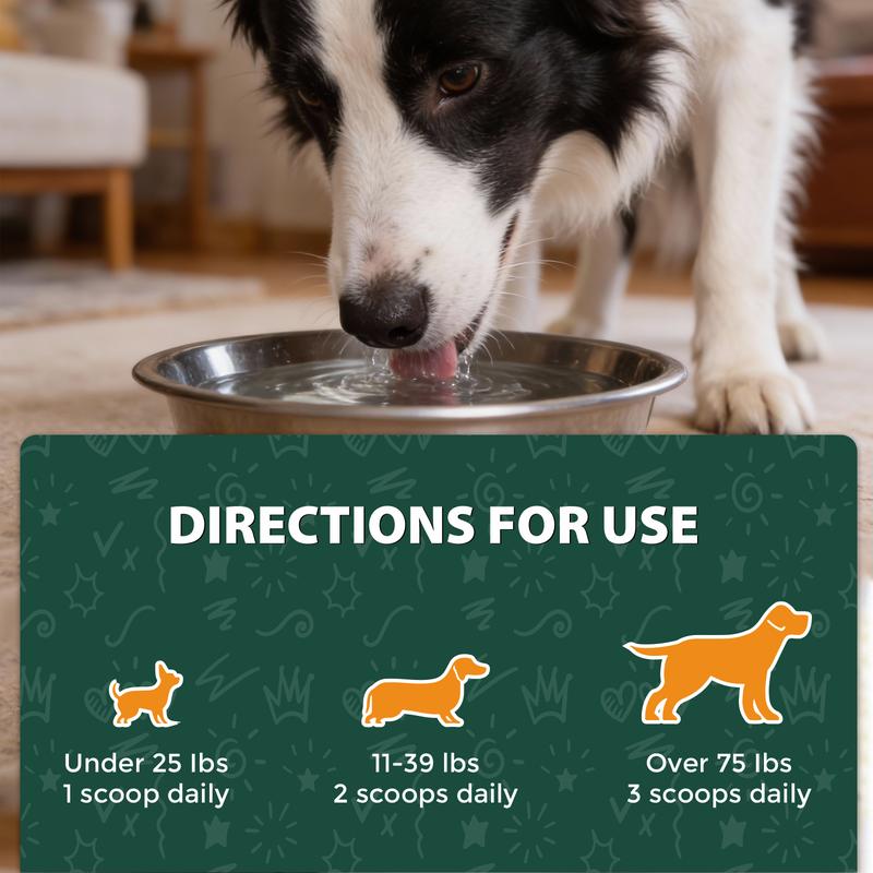 OurCares  Dog Teeth Cleaning Powder (Peppermint Flavor) – 150g | With Lysozyme, Probiotics & Activated Charcoal, Fights Plaque & Freshens Breath