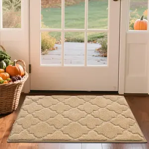 Door Mat Non-Slip Entryway Mats for Indoor Use, Absorbent Doormat for Front Door, Washable Low Profile Entrance Mat,20"x32",Beige