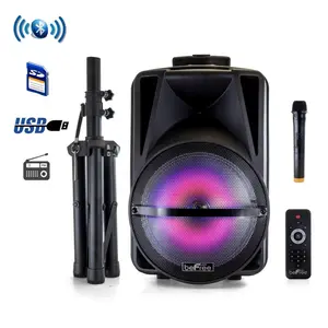 212 MAIN 12 in. Bluetooth Rechargeable Portable PA Party Speaker with Reactive LED Lights, Stand, Radio, Remote, Handle, RCA, Aux Input, Audio Playback, Plug Compatibility, Smartphone Connectivity, Card Reader, USB Port