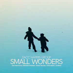 Zacc Harris Group - Small Wonders  [COMPACT DISC - CD]