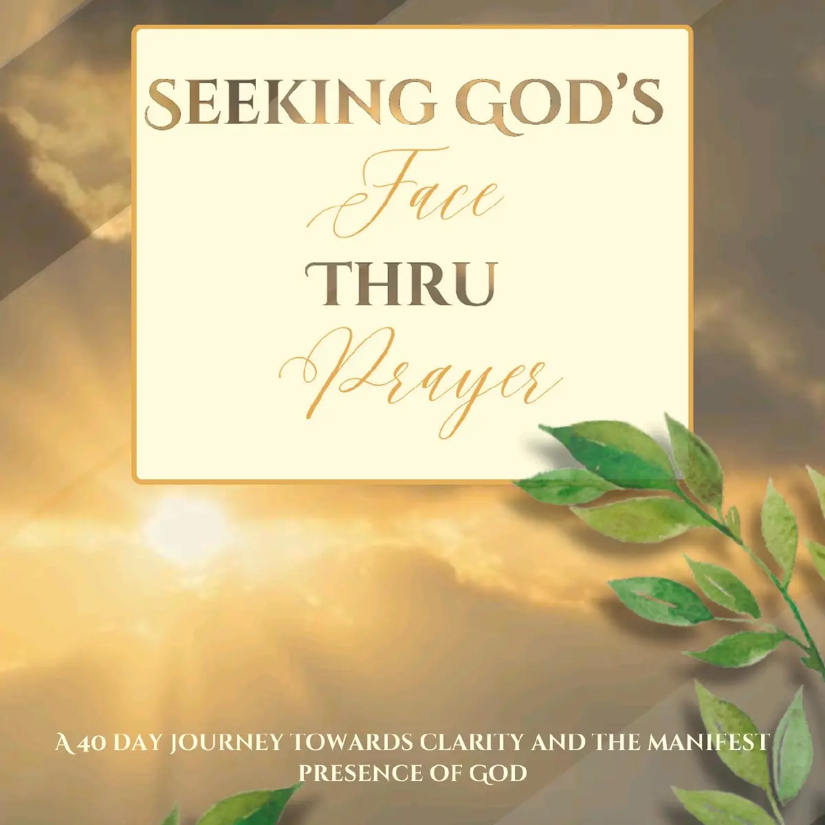 Seeking God's Face Thru Prayer: 40 Day Prayer Journey