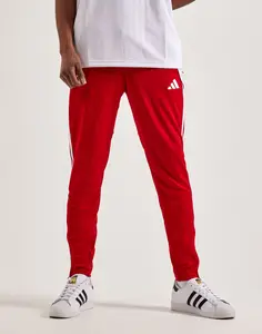 Mens Adidas Tiro 24 Training Pants