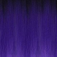 PT1B/PURPLE/L.PURPLE