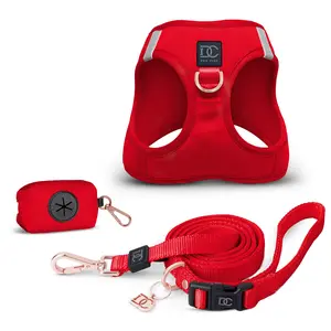 Luxe Dog Walking Set - Rouge Red