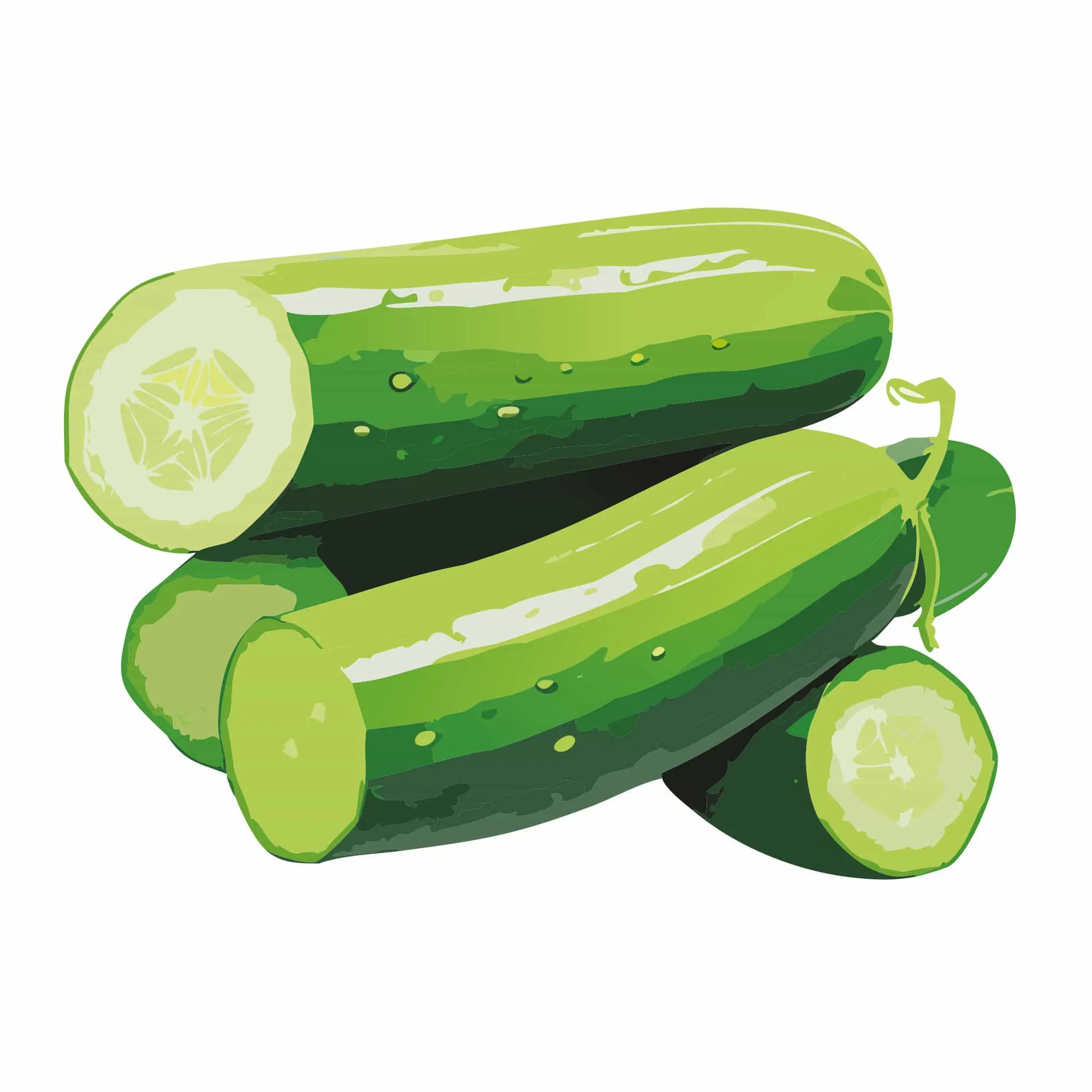 Double Yield Cucumber Double Yield Cucumber