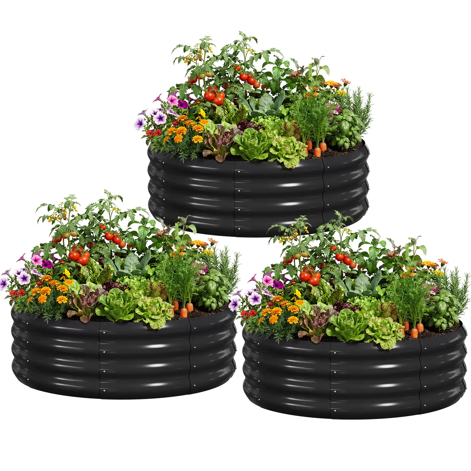 Black - 35.5" × 12in(without Cages)