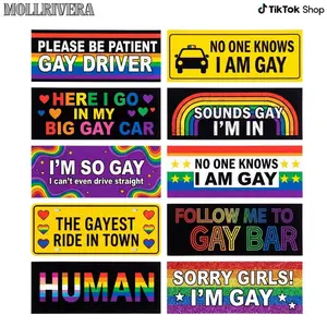 Gay Pride Funny Car Magnet, LGBT Rainbow Pride Prank Magnet, Waterproof Magnetic Bumper Sticker for Adults, Reusable Car Sticker for Vehicles and Trucks, Fridge Magnet