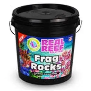 Real Reef Frag Rock Bucket ( 200 Count