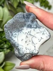 Dendritic Opal Freeform - #11