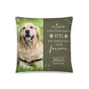Personalized Pet Loss Memorial Pillow Sympathy gift for Pet Lovers Dog Loss Gift Cat Memorial Dog Cat Lover Soft Cushions | If Love Could Have Saved You