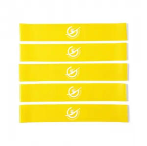 5 Pack Mini Loop Bands