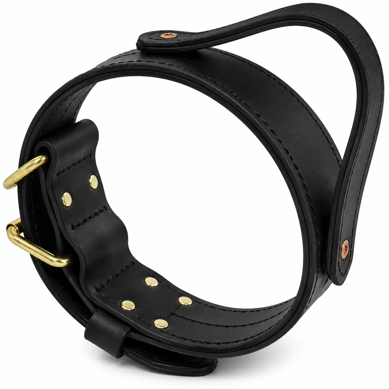Ray Allen 2" Double-Layer Biothane Collar – Waterproof Handle Collar