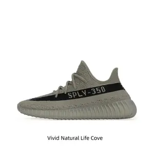 Grey and Black Color-Block Knit Low-Top Sneakers with Black Side Lettering Stripe and Translucent Cushioned Midsole