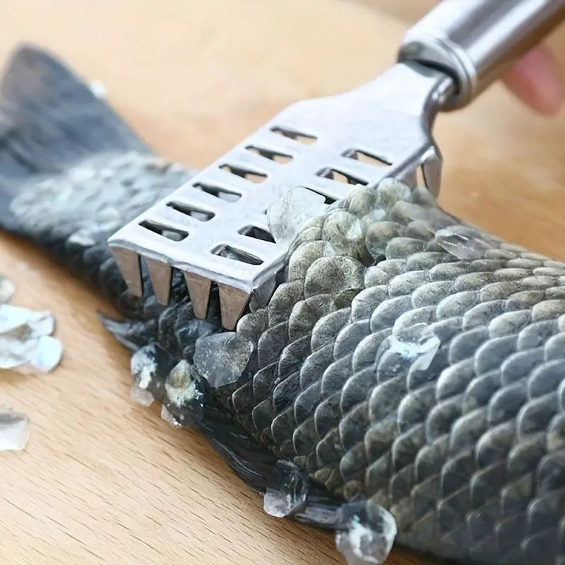 Heavy-Duty Reusable Fish Scale Scraper with Stainless Steel Serrations - Stainless Steel Handle, Kitchen Seafood Utensils, 1-Piece Set for Daily Use, Skin Cleaning, Every Cook