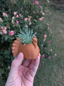 Thanksgiving Turkey Succulent Planter: 3D Printed Indoor Pot with Drainage for Office & Home Decor