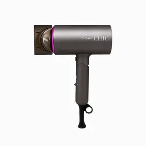 Tyche by Nicka K New York Chic Hair Dryer