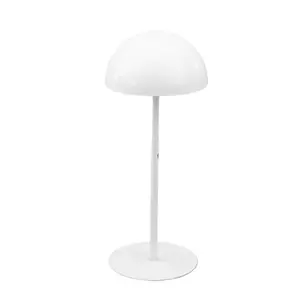 Stylish Hat Display Rack In Stainless Steel Great For Shops And Exhibitions