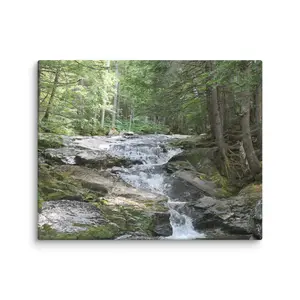 Forest Flow Canvas Print