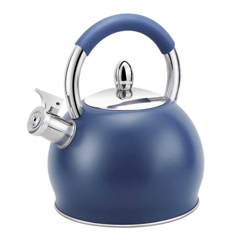 H Haus Roland Whistling Tea Kettle for Stove Top Stainless Steel Tea ...