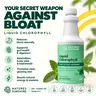 Nature's Sunshine Liquid Chlorophyll - Immunity Support, Detox & Cleanse, Chlorophyll Liquid Drops with Spearmint Oil, and Internal Deodorant
