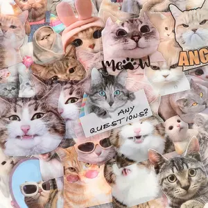 50 Transparent Cute Kitten Stickers in Transparent PET Material - Suitable for DIY Creative Decoration of Suitcases, Phone Cases, Laptops, Helmets, Skateboards